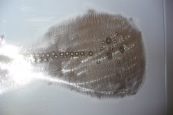 130618 72 Gremlin (12).JPG